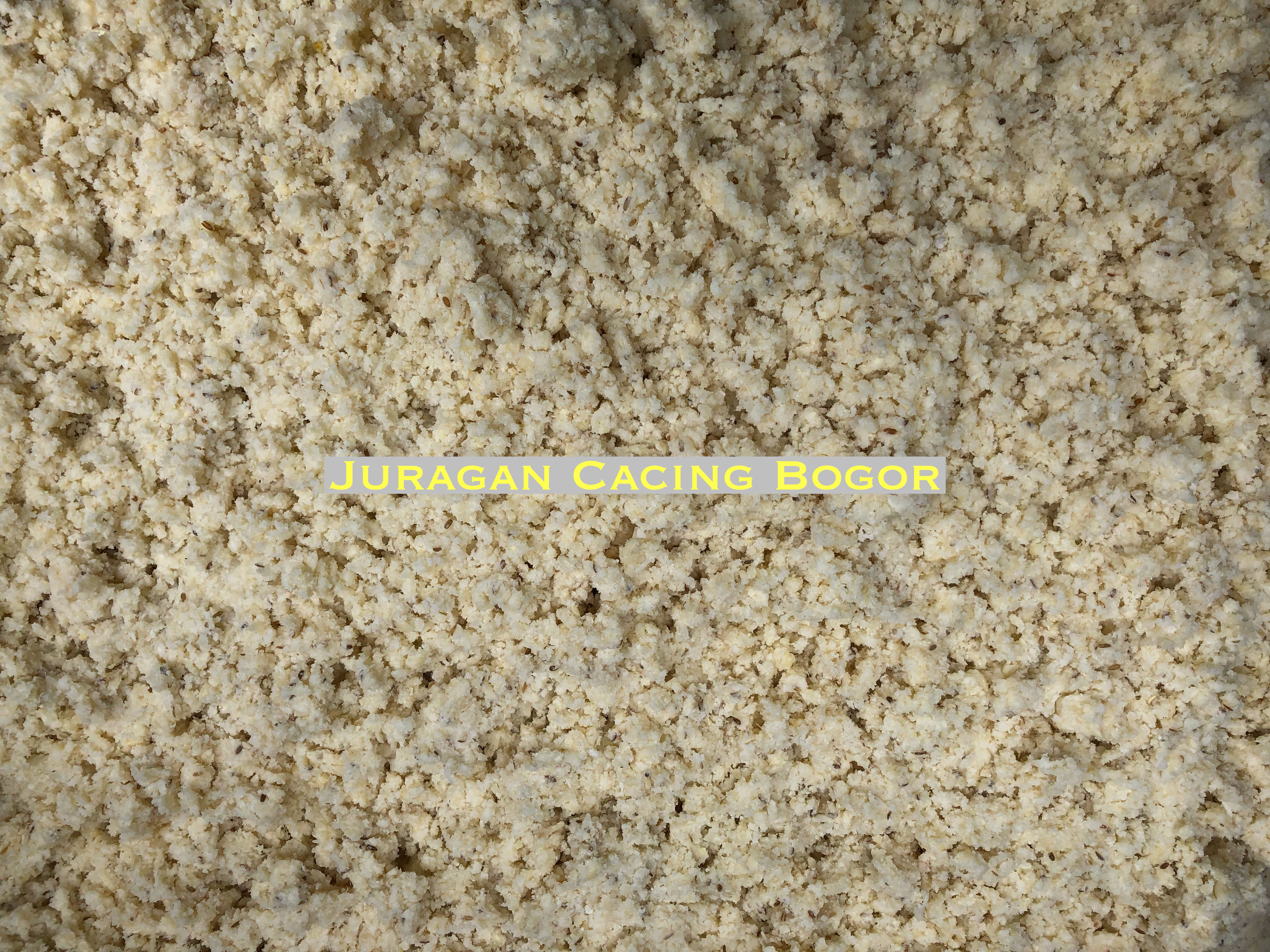 Ampas Tahu Pakan Ternak Cacing