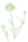 camo.png