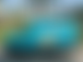 Why Chose Mobile Pet Grooming?