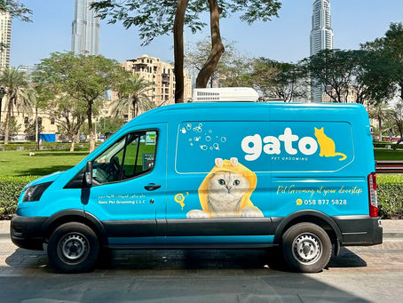 Why Chose Mobile Pet Grooming?