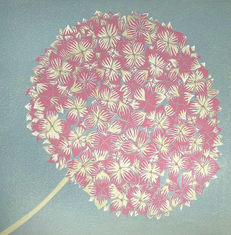 Hydrangea