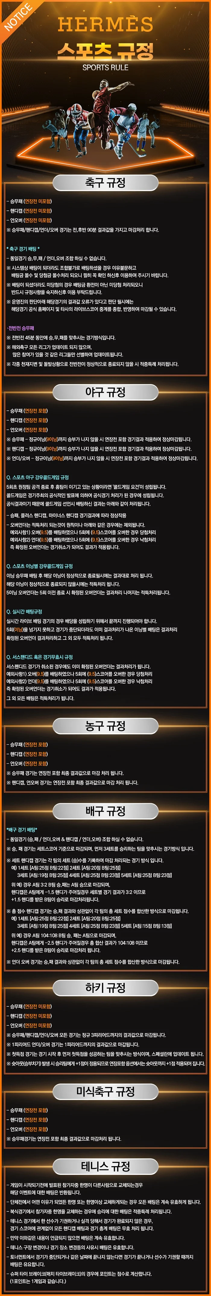 스포츠 규정