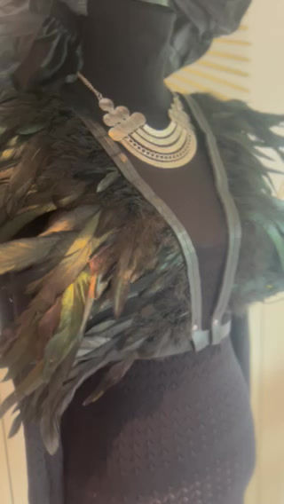 Thumbnail: Remen s perjem