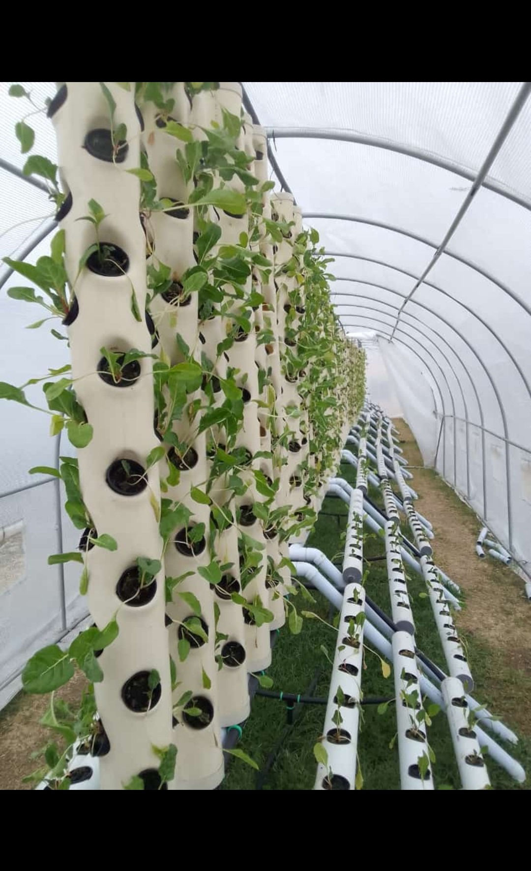 Hybrid Hydroponics System