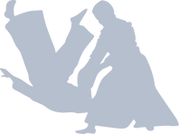 martial arts silhouette