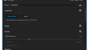 Premiere Pro Auto-Match Loudness Default Values
