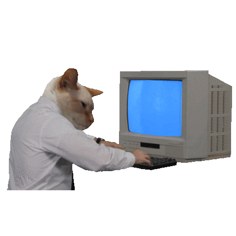 giphy-5.gif