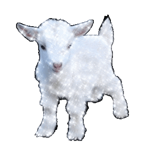 giphy (8).gif