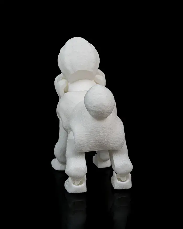 Thumbnail: Lizzie, the Poodle