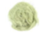 Thumbnail: Usnea Wildcrafted