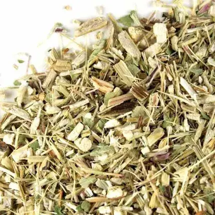 Echinacea