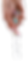 valorellicutout.png