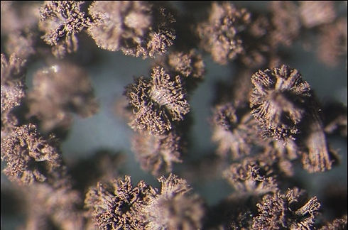 Mold Photo 1.jpg