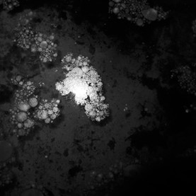 O silêncio descompassado do breve murmúrio do mar