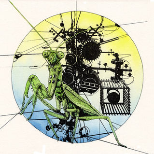 mantis3_web.jpg