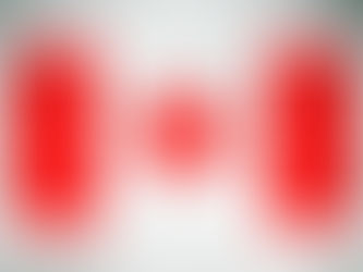 Overview of Parliament