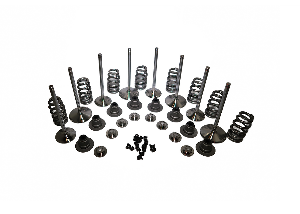 Star Racing's specialty curated 2.5mm over valve spring kit for M8 builds. Designed by George Bryce.