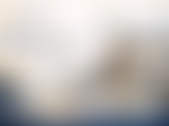 Why Receipts and Invoices Are Essential for VAT-Registered Limited Companies in the UK 