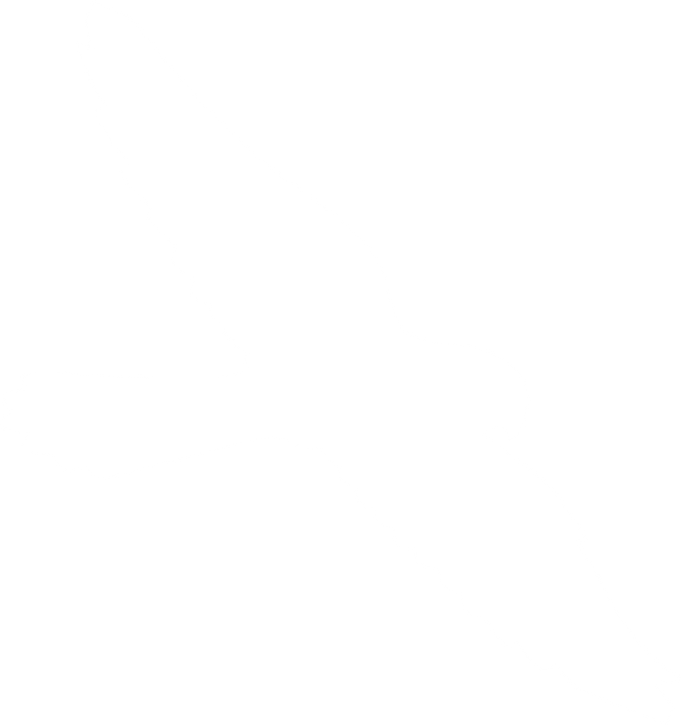 Kestrel NEW.png