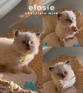 Sample Format (Instagram Post (45)).zip - 17.PNG