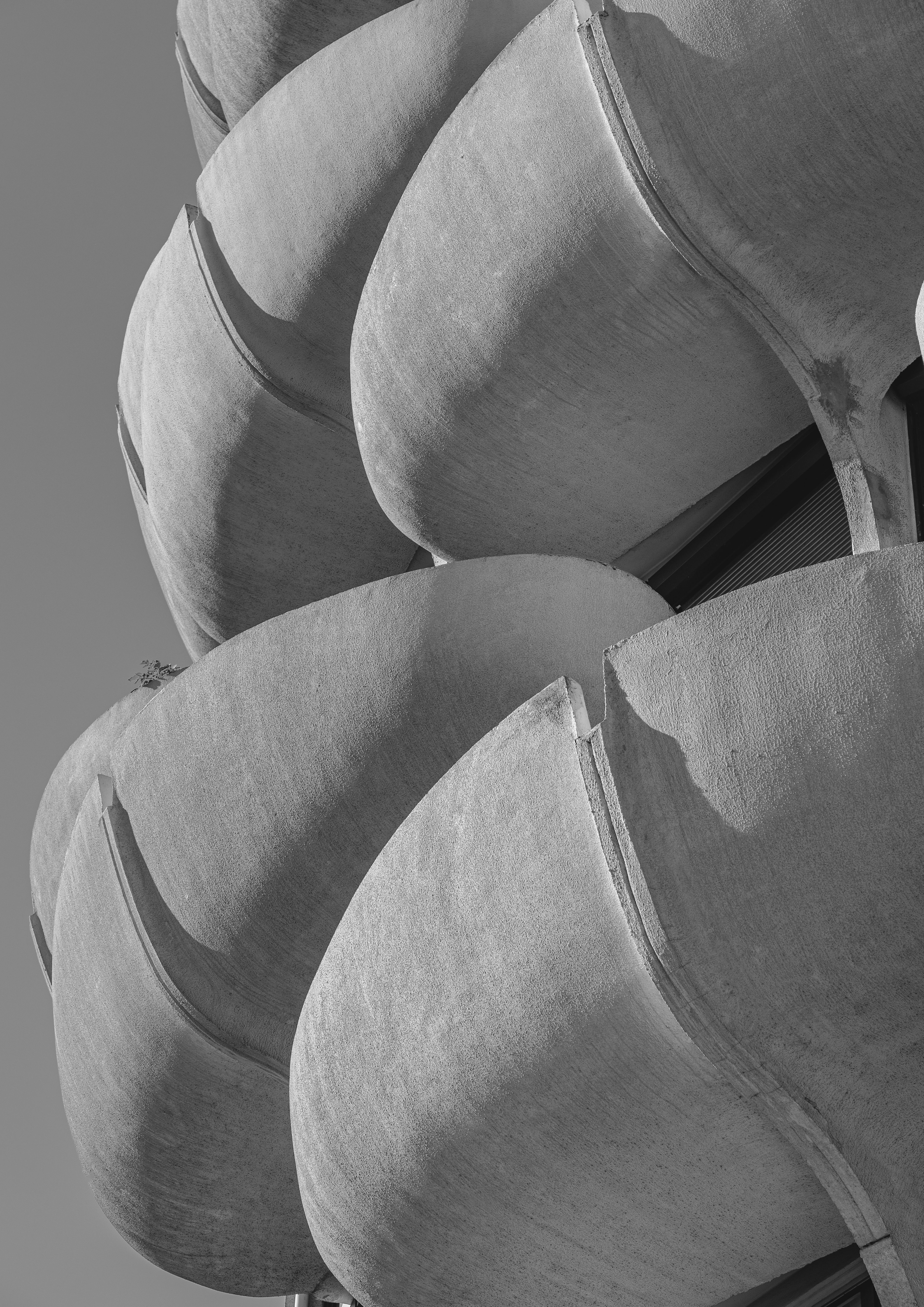 Les Choux de Creteil DM#1