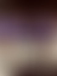 The Comeback : Little Something to Prove