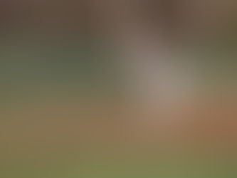 "Electrifying Grit: A Fierce Game-Changer Between the Lines"