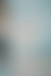 "Built Like a Stormfront: The Dominant Force on the Rise"