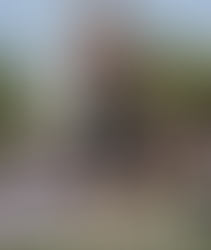 "The Prodigy Quarterback : "Arm of a Rocket, Mind of a Genius
"