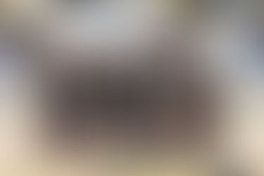 "Crown Chaser: Silky’s Scoring Storm and the Killa Bees’ Furious Run Back to the Glass House"