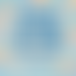 Player of the Week Voting(11/17/25)