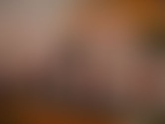 "Full-Throttle Force: The All-Purpose Animal with a No-Brakes Mentality"