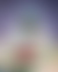 "The Relentless Rise of a Versatile Weapon"