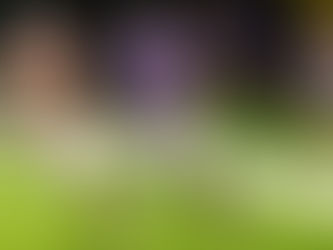 "The Workhorse: The Relentless Power Behind the Smoky Bears’ Ground Game"