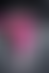 "The Fury Built for Chaos Between the Lines"