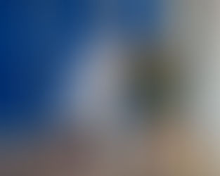 "Paint Beast with a Perimeter Touch: A Two-Way Anchor on a Mission"