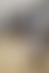 "Full-Throttle Playmaker: A Fierce Guard Ready to Break Out"