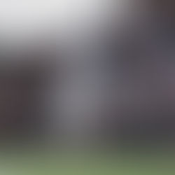 "Speed, Smarts, and Fierce Hands: A Rising Force"