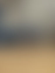 "Poised Under Pressure: The Sharpshooting Floor General Who Lives for the Big Moment"