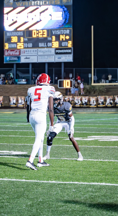 "The Relentless Ballhawk Patrolling the Skies"