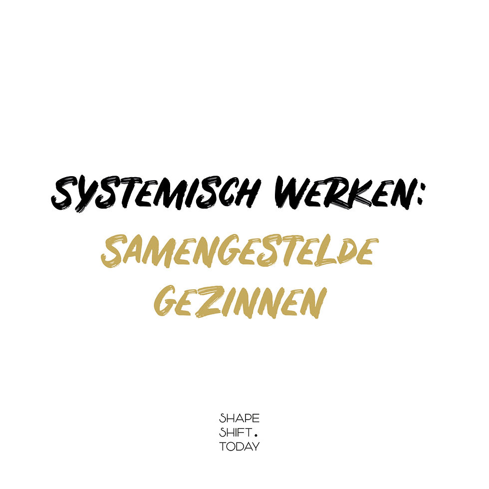 Systemisch werken: Samengestelde Gezinnen, 8+9 april 2027