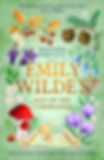 Emily Wilde's Map of the Otherlands : the charming light academia Sunday Times