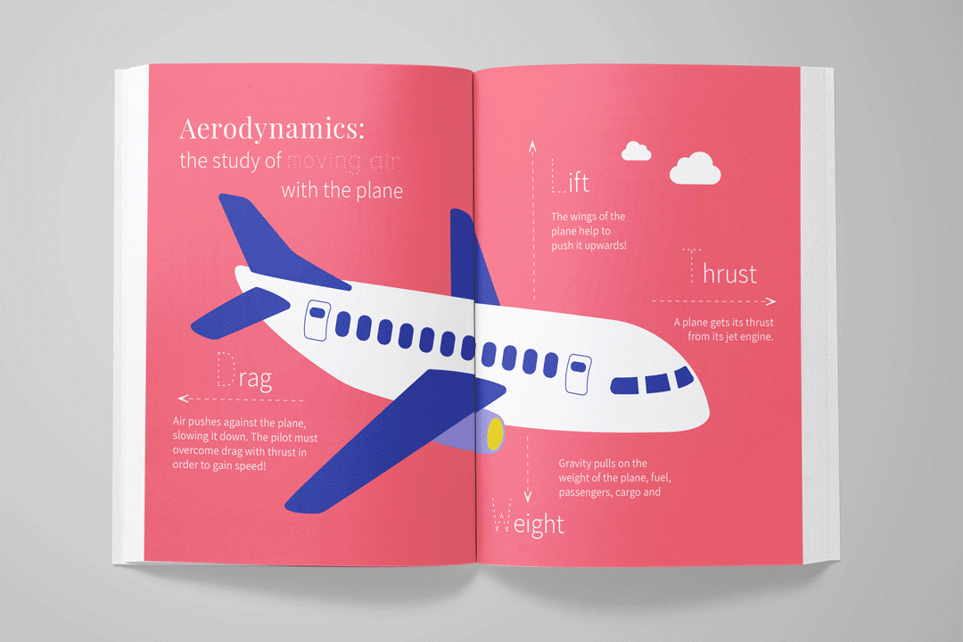 highflyers-handbook-4.gif