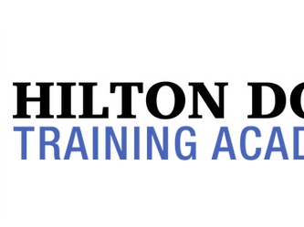How some dogs may benefit from secure dog fields - Hilton Dogs Training Academy - Louise Burton