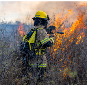 When Wildfire Risk Rises, Tamazari Helps Utilities See and Act Faster