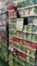 Flower & Veg Seeds