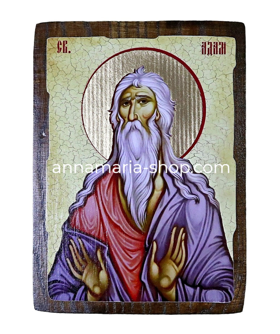 Икона "Свети Адам Праотец" 17/23