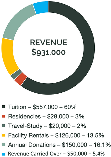 2024-25 revenue.png