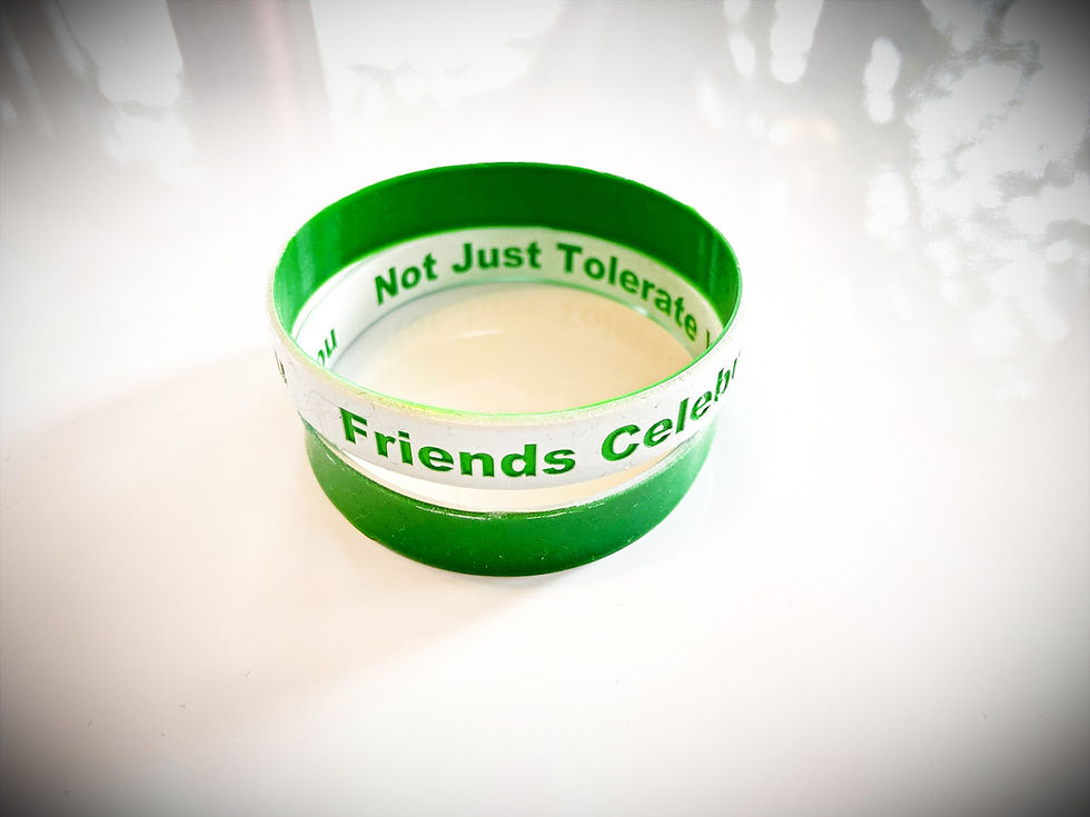 Thumbnail: "Friends Celebrate You Not Just Tolerate You" Bracelets