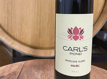 Screenshot 2025-12-11 at 5.43_edited.jpg